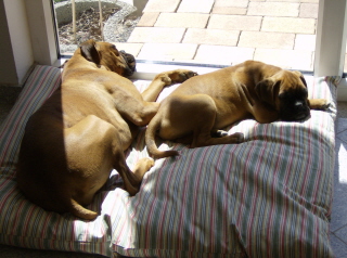 In the sun