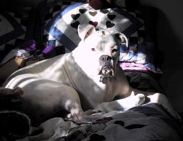 In the Sunshine