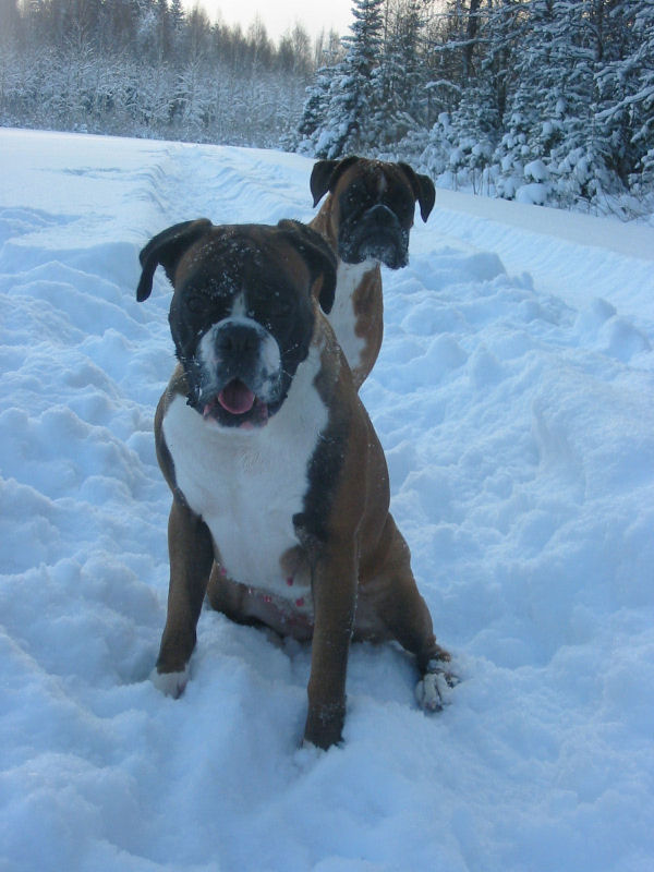 In winter