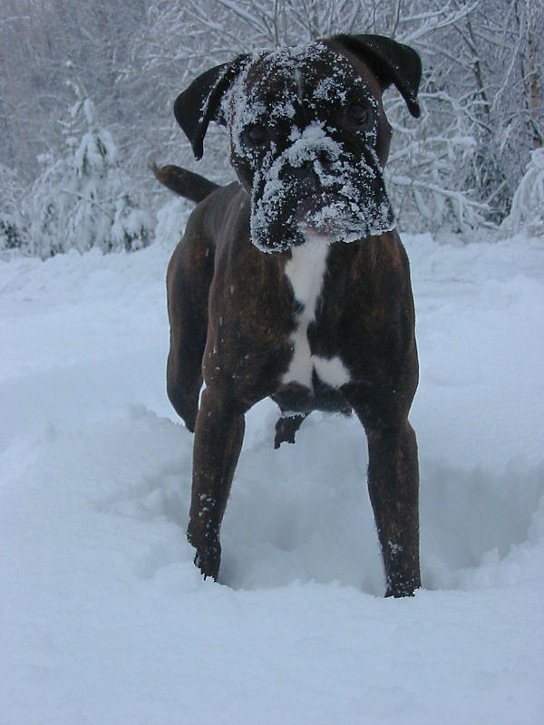 In winter