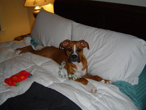 in_my_bed