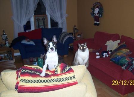 Indy & Luigi
