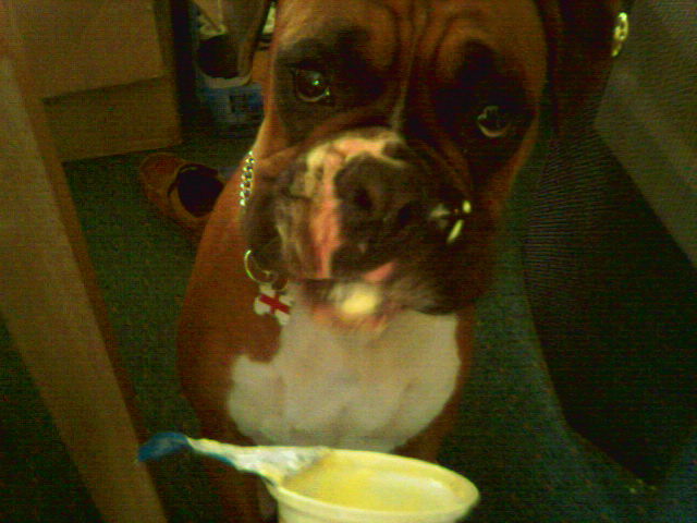 Innocent Face!