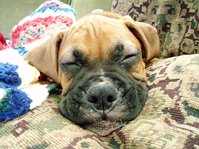 Innocent Little Tyson