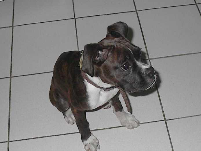 innocent look