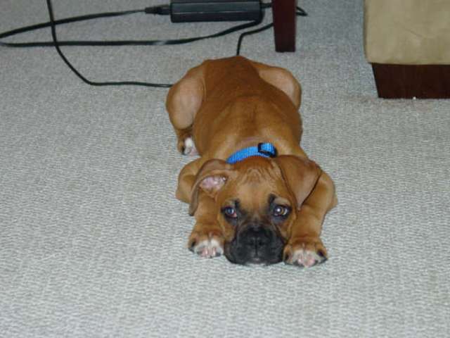 Innocent?
