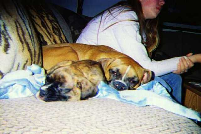 Inseparable babies