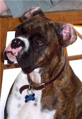 inside out ears