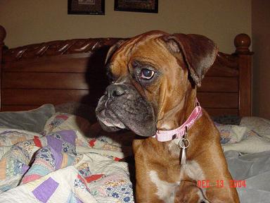 Introducing Grace...our rescue baby girl.