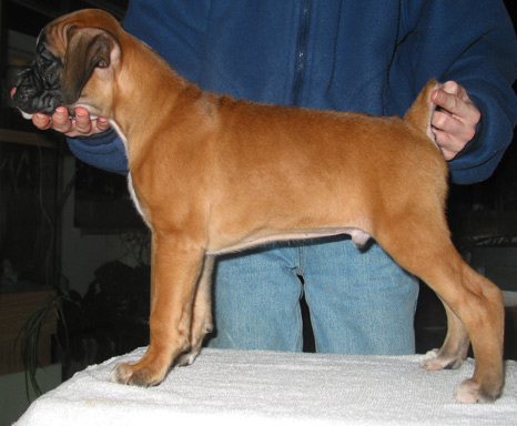 Introducing Ishie