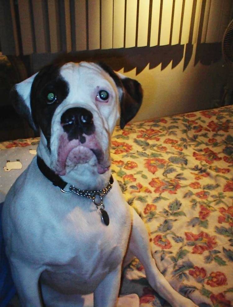 Is it bed time yet??!