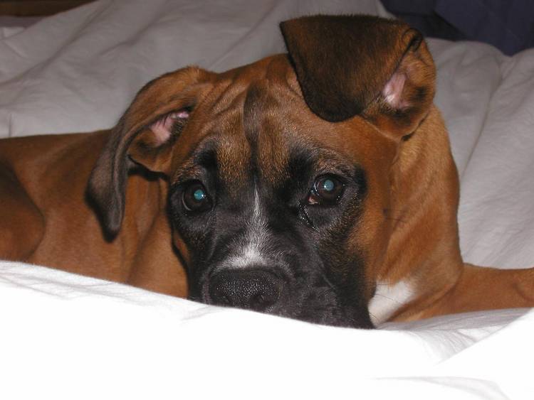 Is it time to get up already?!