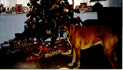 is it time to open my pressies yet