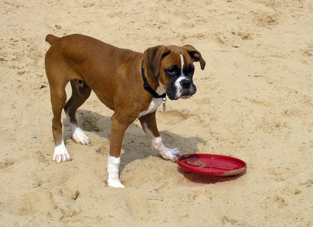 Is someone going to throw this?