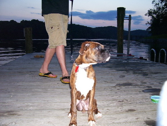 Is that a fish?