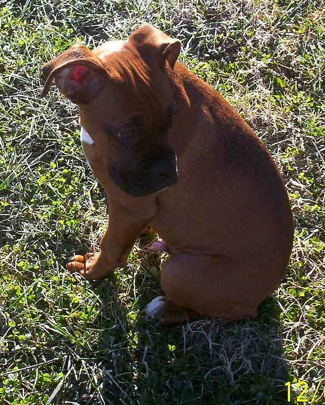 Is that my shadow