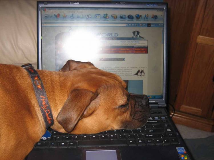 Is this a good place to nap?