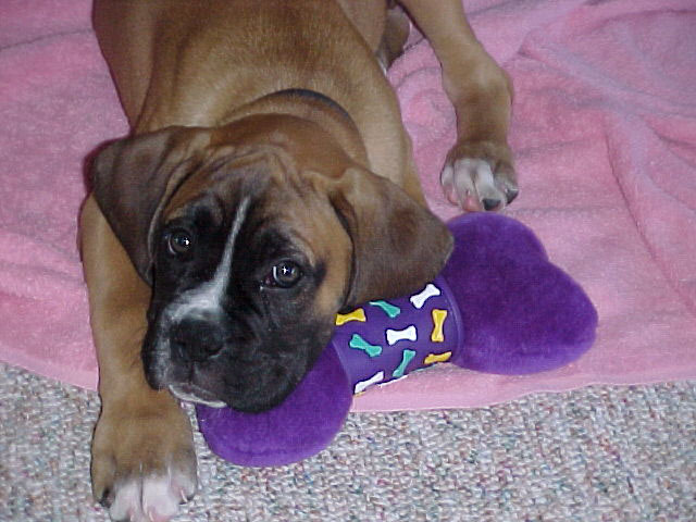 Is this cute enough?