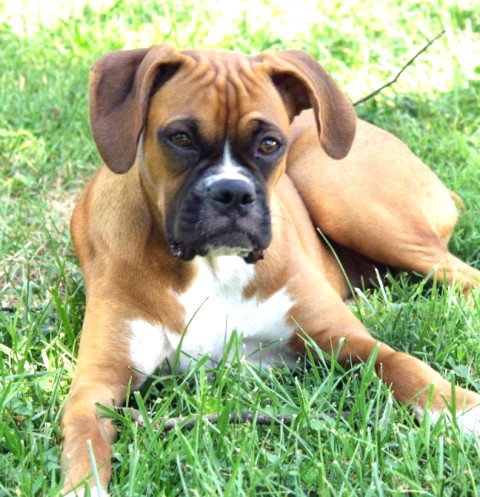 Isabelle at 6 months