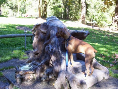 Isabelle_on_fountain1