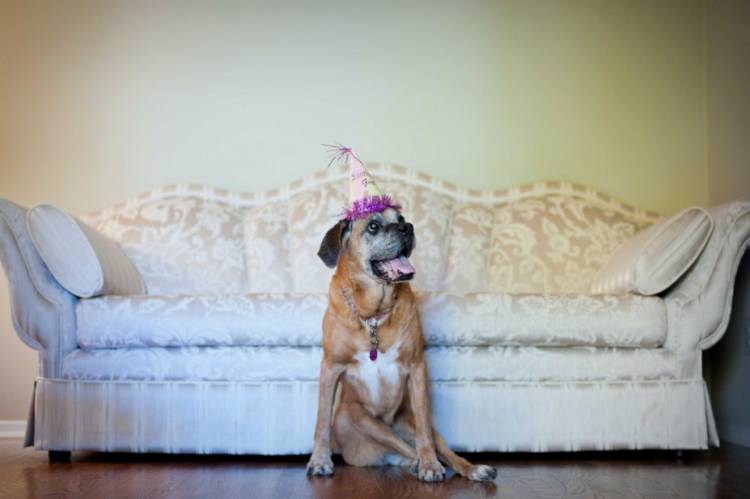 Isis' 14th Birthday Party