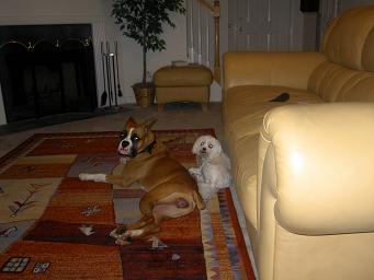 Isis & Figi