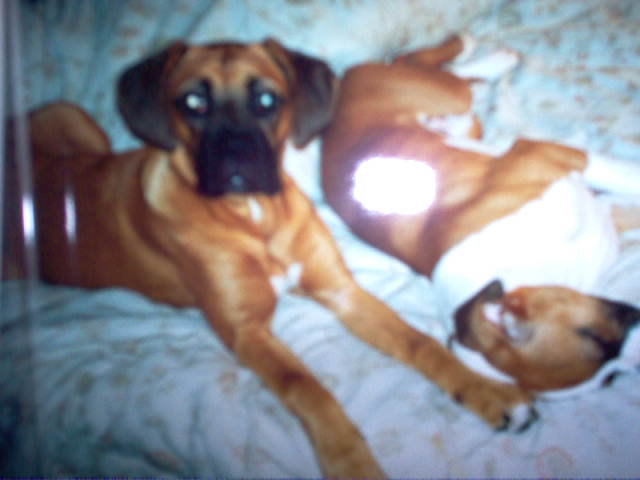 Isis & her brother age 1
