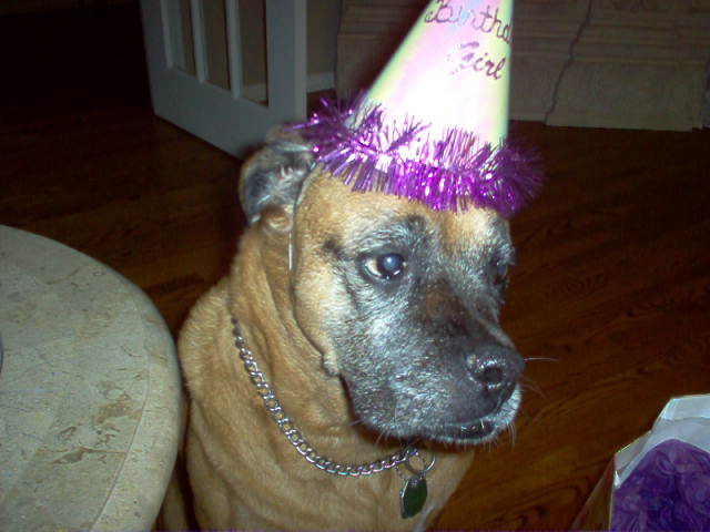 Isis in her hat on her 11th Birthday!