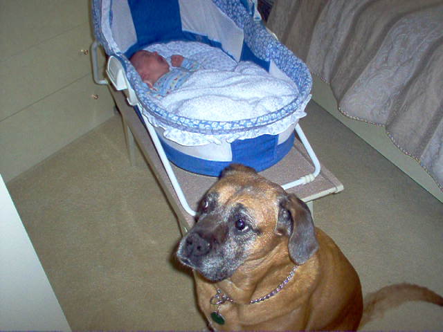 Isis & Newborn Brennan