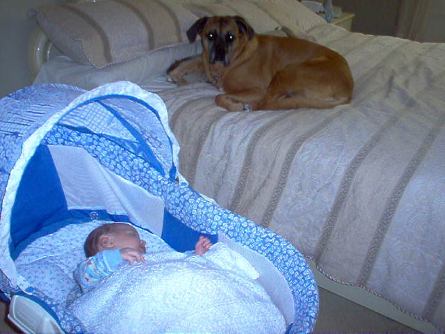 Isis watching over baby Brennan