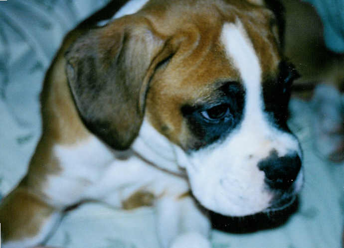 isnt he cute?