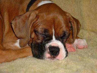 Isn't he cute?