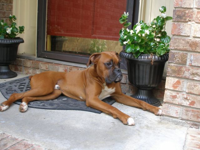Isn't he so handsome!