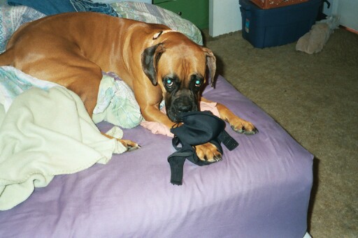 Isn't this one of my toys??