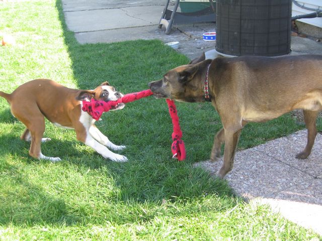 It is mine