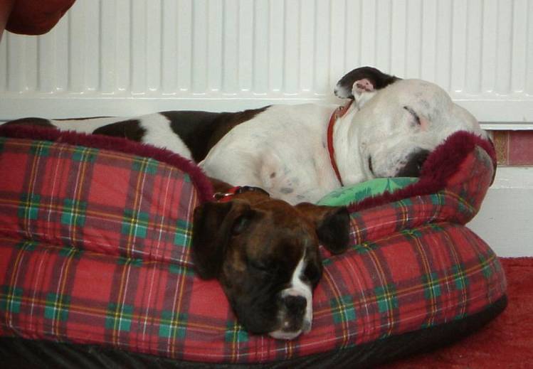 It must be love!!!