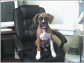 It used to be my chair. . .