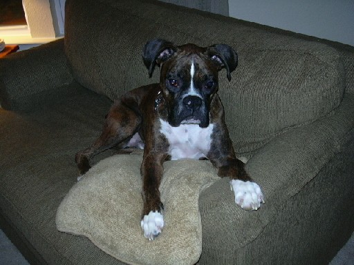 It wasnt me........really!