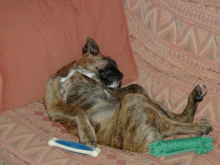 It's a hard life...