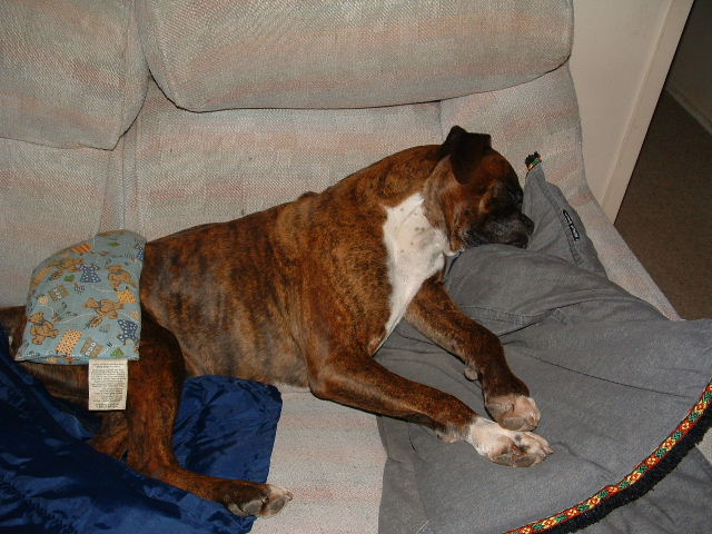 Its a rough life