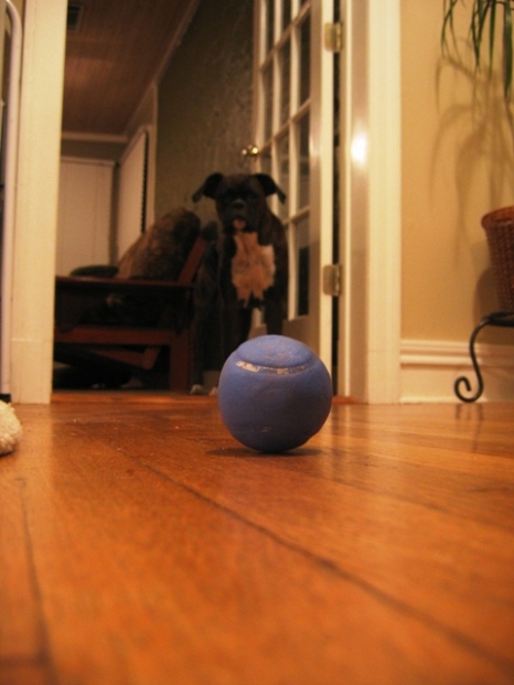 It's all about the Ball.