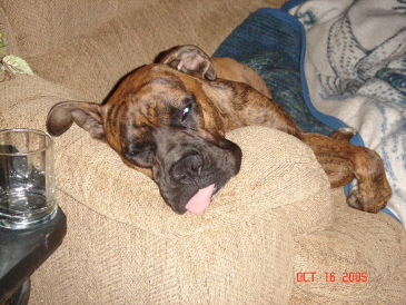 It's been a long day!