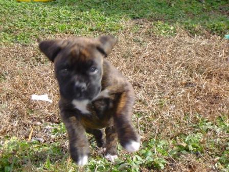 it's bird...it's a plane...no it's Mimi!!!