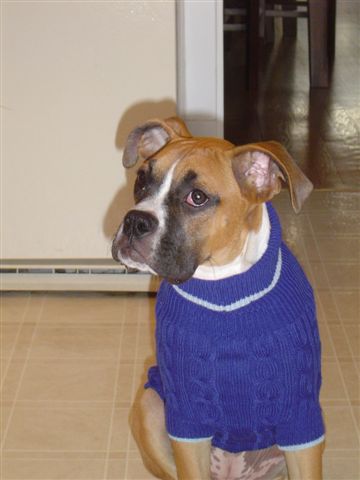It's chilly today (5 months)