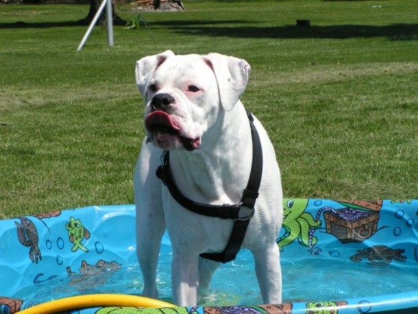 It's finally warm outside!