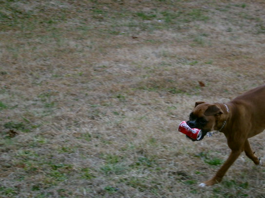 Its His can