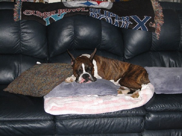 It's his couch