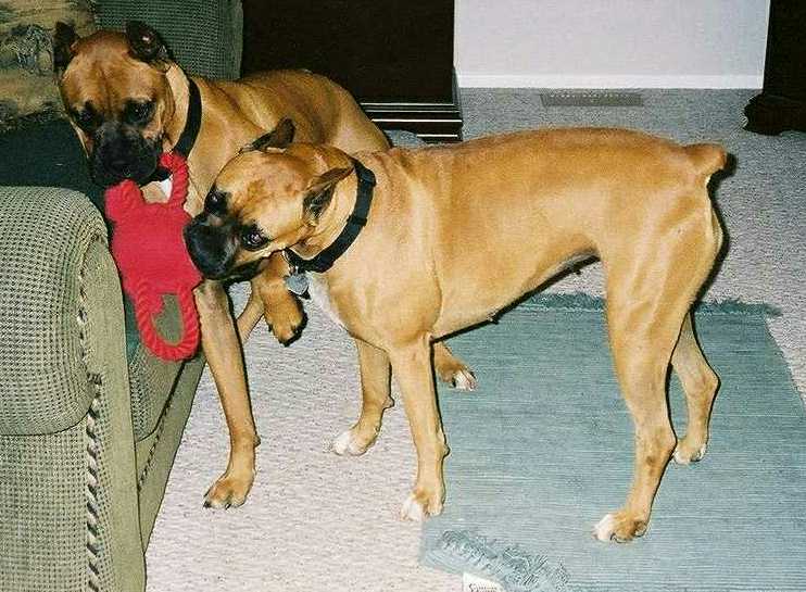 It's Mine. . . No, It's Mine