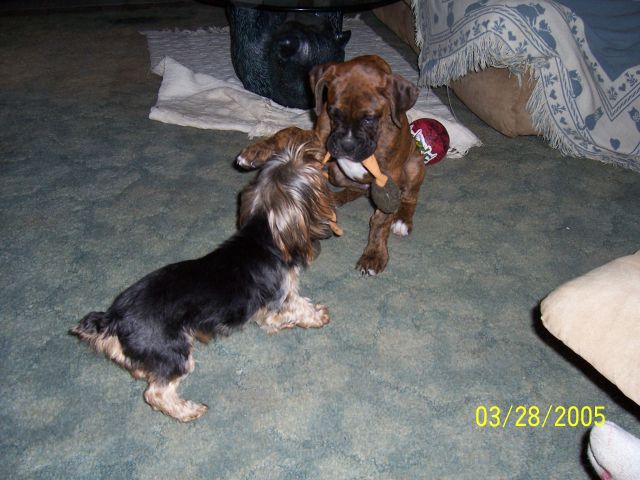 It's Mine, no it's Mine