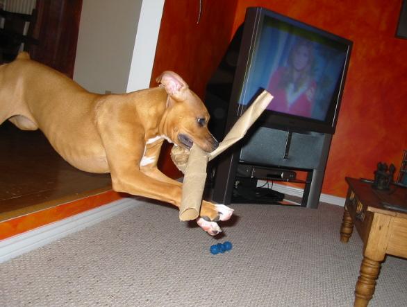 its mine now!!!